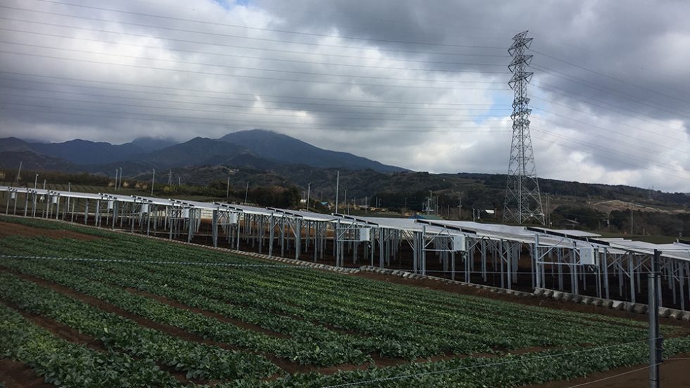 太陽光発電所投資